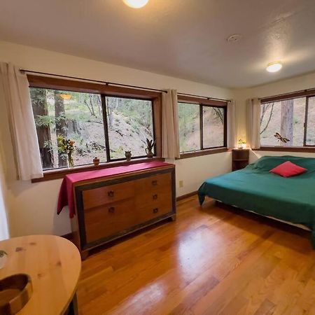شقة Little House In The Redwoods With A Hot Tub! غاربرفيل المظهر الخارجي الصورة