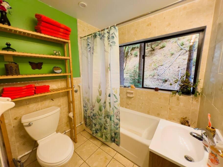 شقة Little House In The Redwoods With A Hot Tub! غاربرفيل المظهر الخارجي الصورة