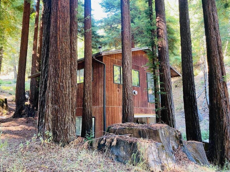 شقة Little House In The Redwoods With A Hot Tub! غاربرفيل المظهر الخارجي الصورة
