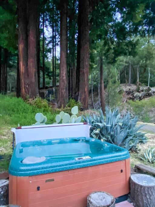 شقة Little House In The Redwoods With A Hot Tub! غاربرفيل المظهر الخارجي الصورة