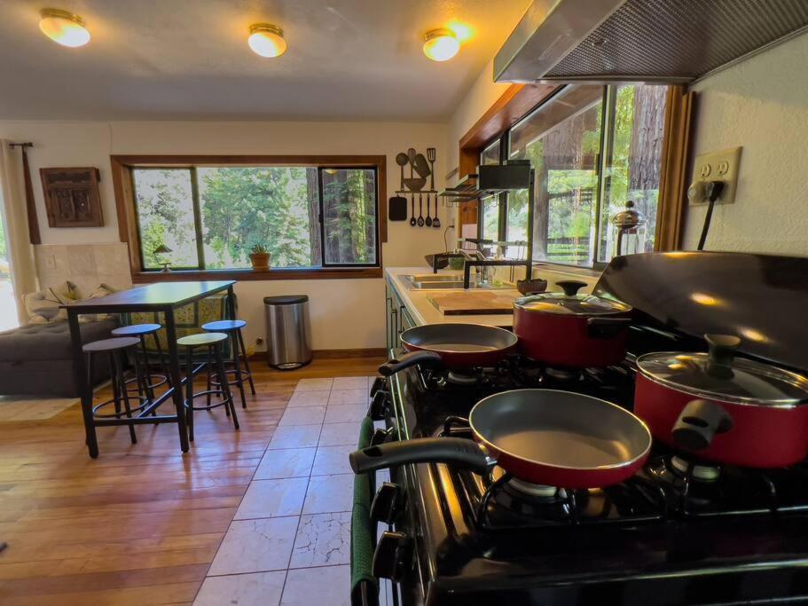 شقة Little House In The Redwoods With A Hot Tub! غاربرفيل المظهر الخارجي الصورة